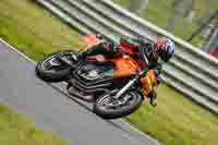 Middle 2 Group Orange Bikes